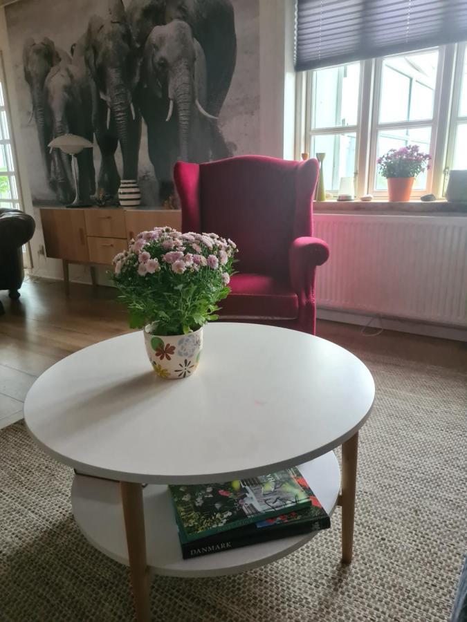 Marsvinslund Bed And Breakfast Viborg Esterno foto