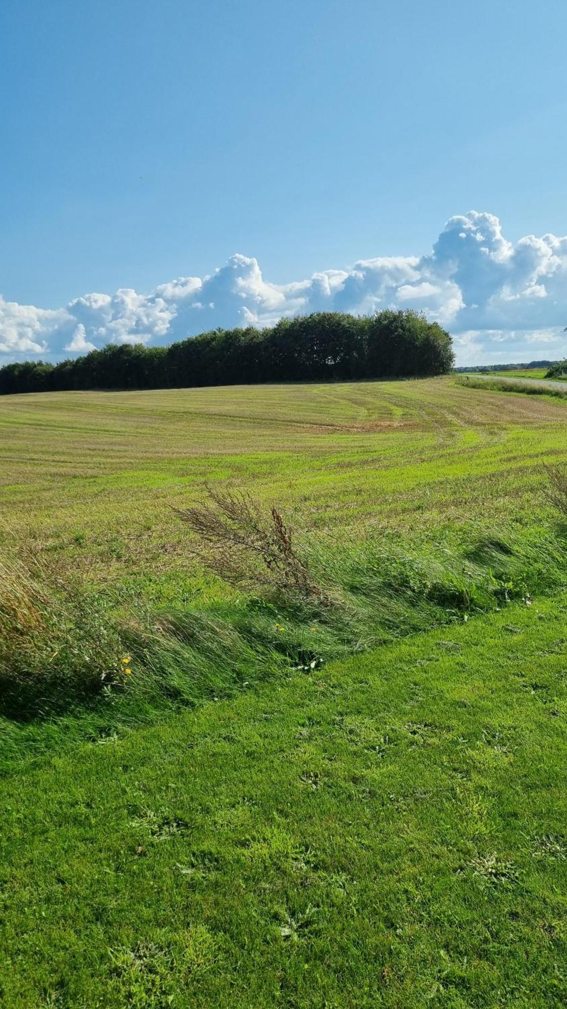 Marsvinslund Bed And Breakfast Viborg Esterno foto